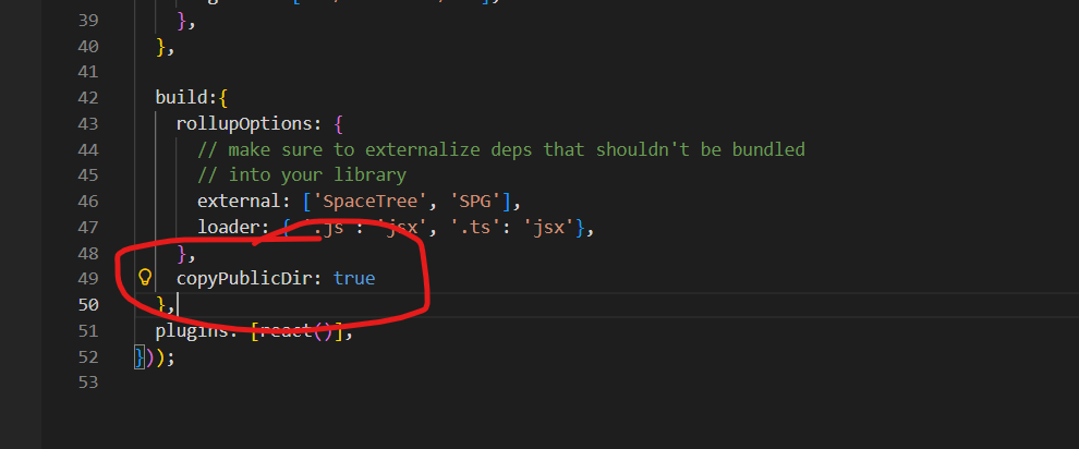 Image of copyPublicDir being set to true inside the vite.config.ts file.
