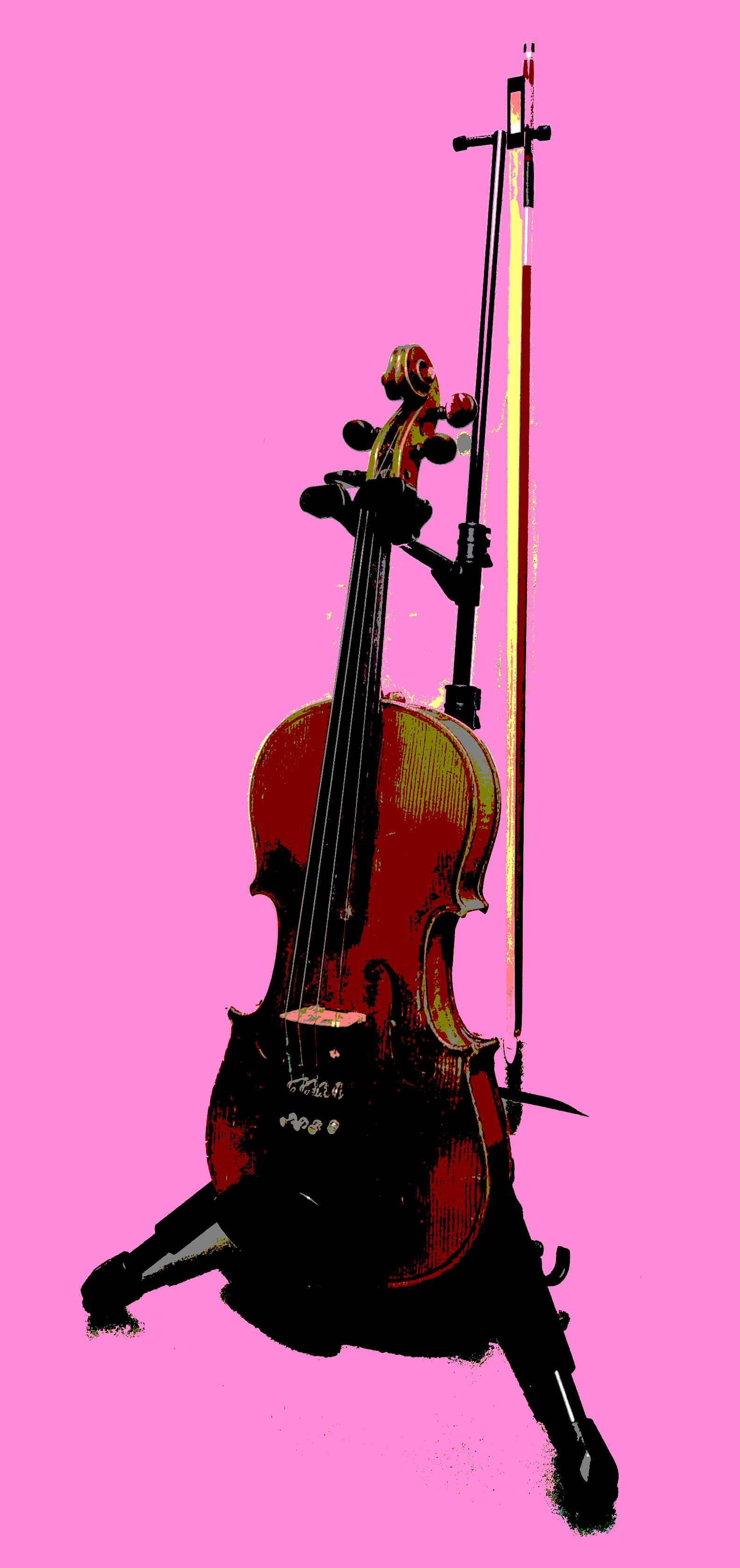 Violin